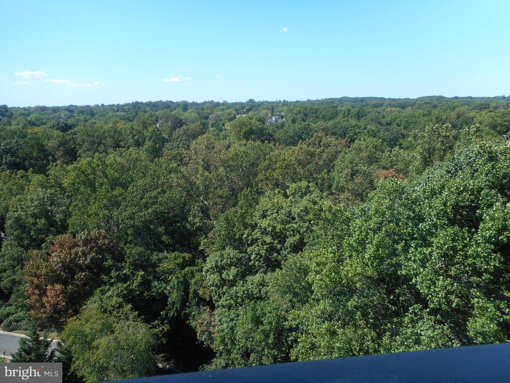 PROMENADE TOWERS - Residential Lease