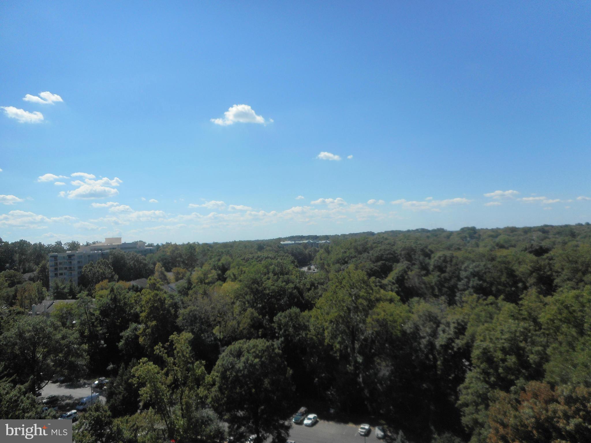 PROMENADE TOWERS - Residential Lease