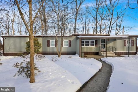 307 DONAT ROAD LENHARTSVILLE PA 19534
