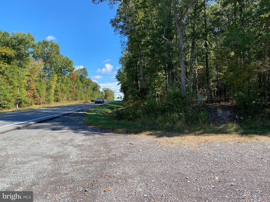Priced reduced to sell!
Approximately 990 feet of frontage on Constitution Highway (Route 20). Wooded site. Adjacent to a solar farm(quiet neighbor) and adjacent to Locust Grove Elementary School and Locust Grove Primary School.
