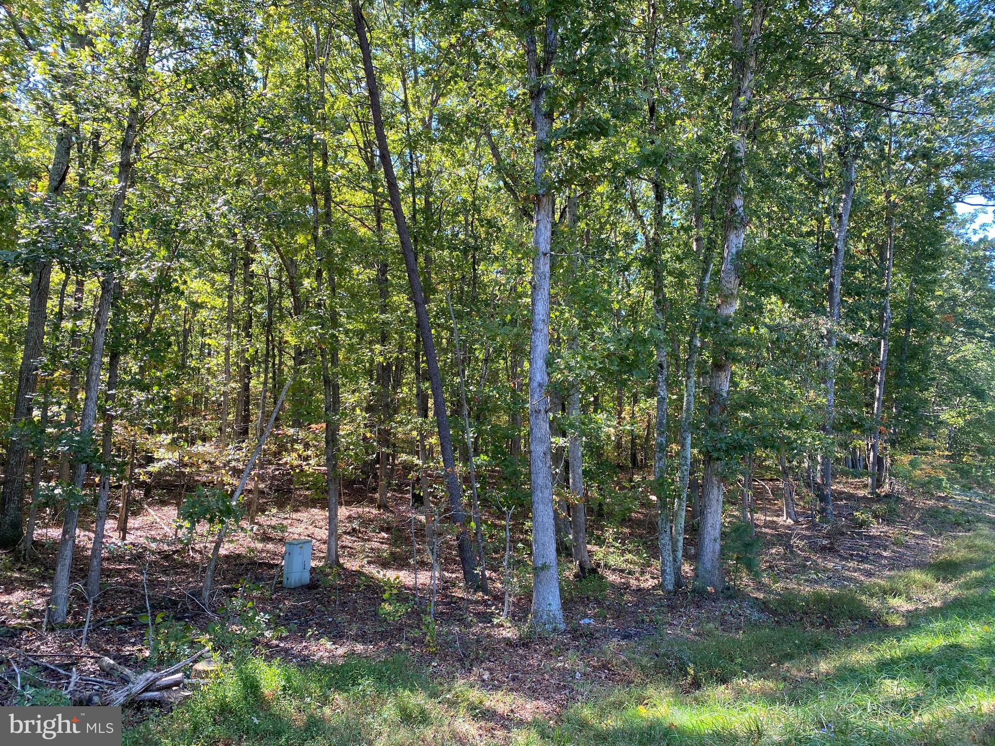 CONSTITUTION HIGHWAY