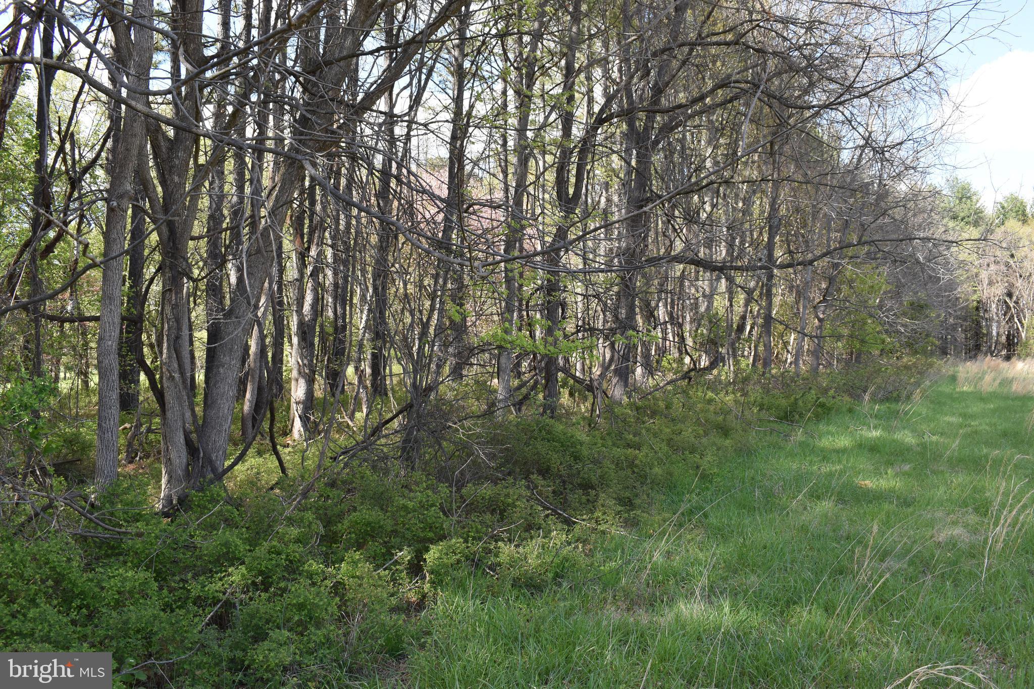 PURCELLVILLE - Residential