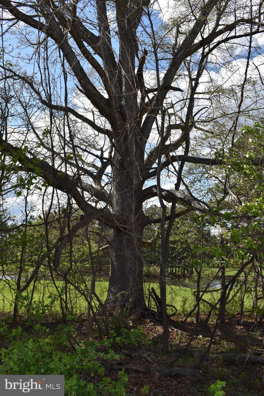 PURCELLVILLE - Residential