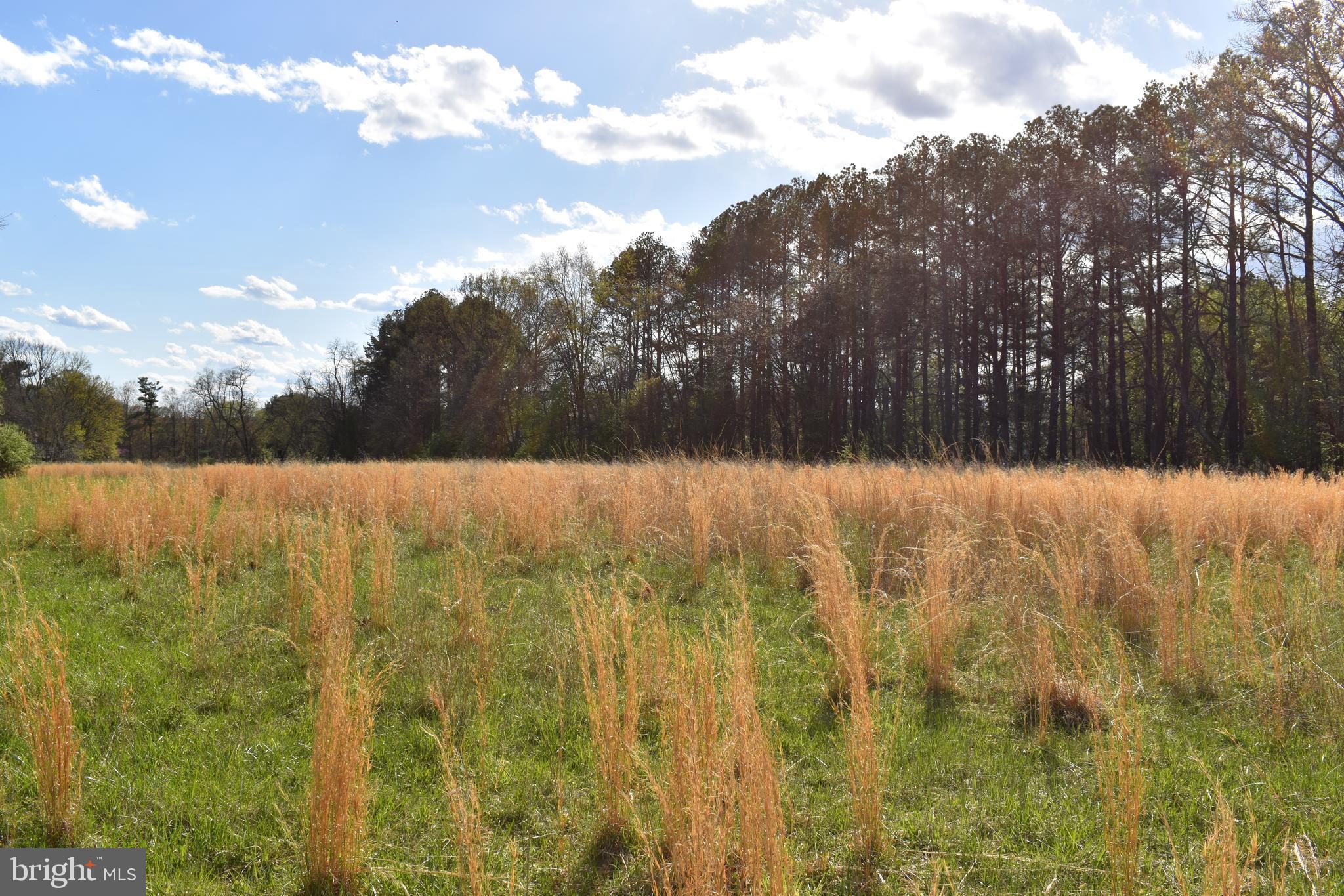 PURCELLVILLE - Residential