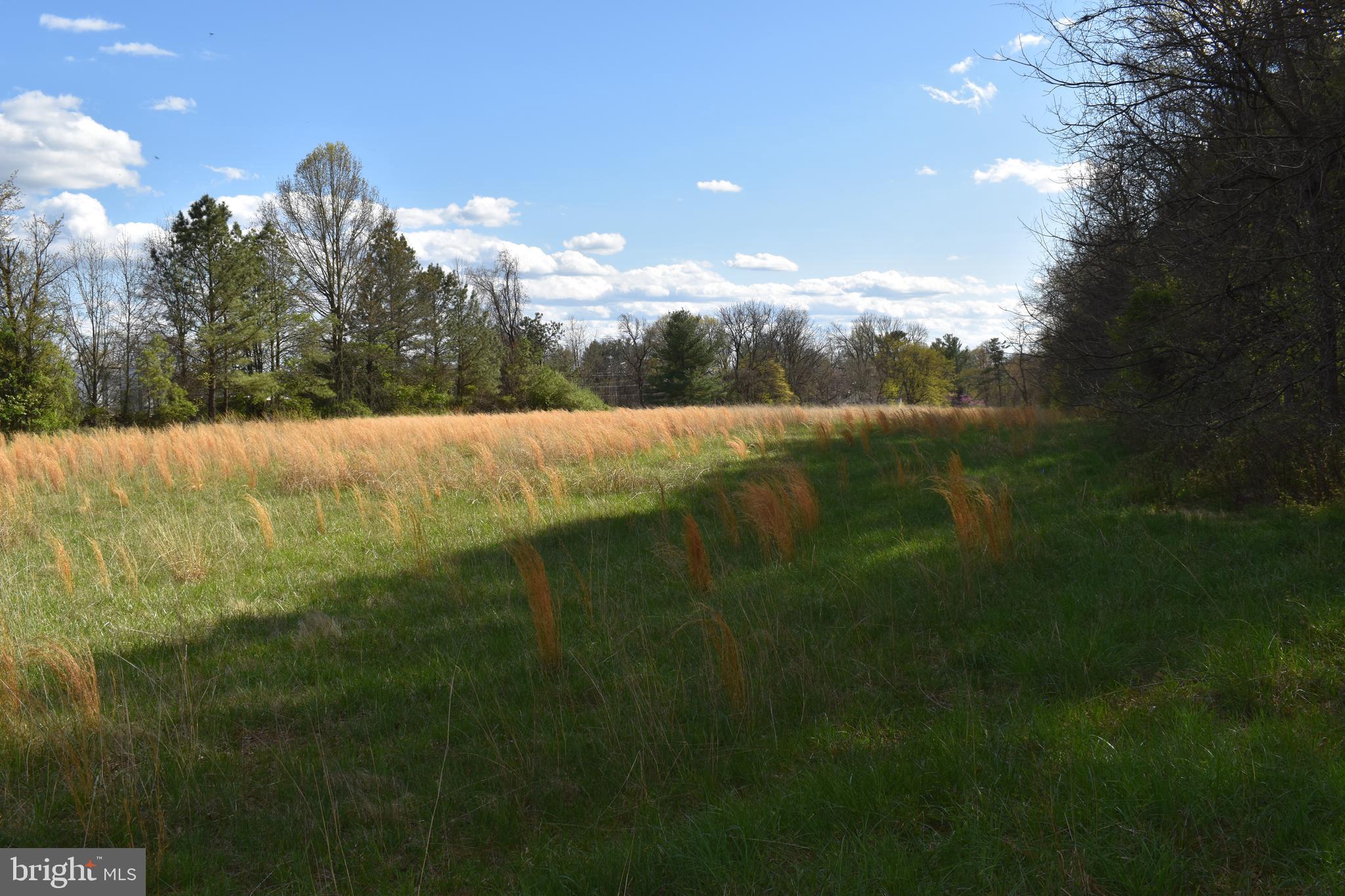 PURCELLVILLE - Residential