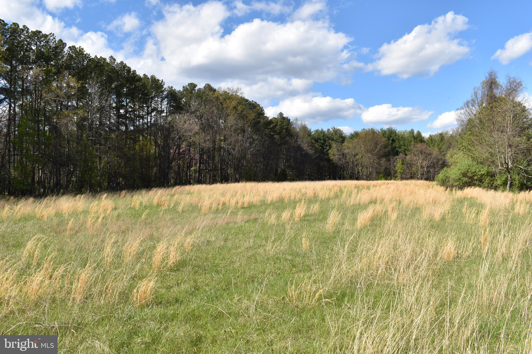 PURCELLVILLE - Residential