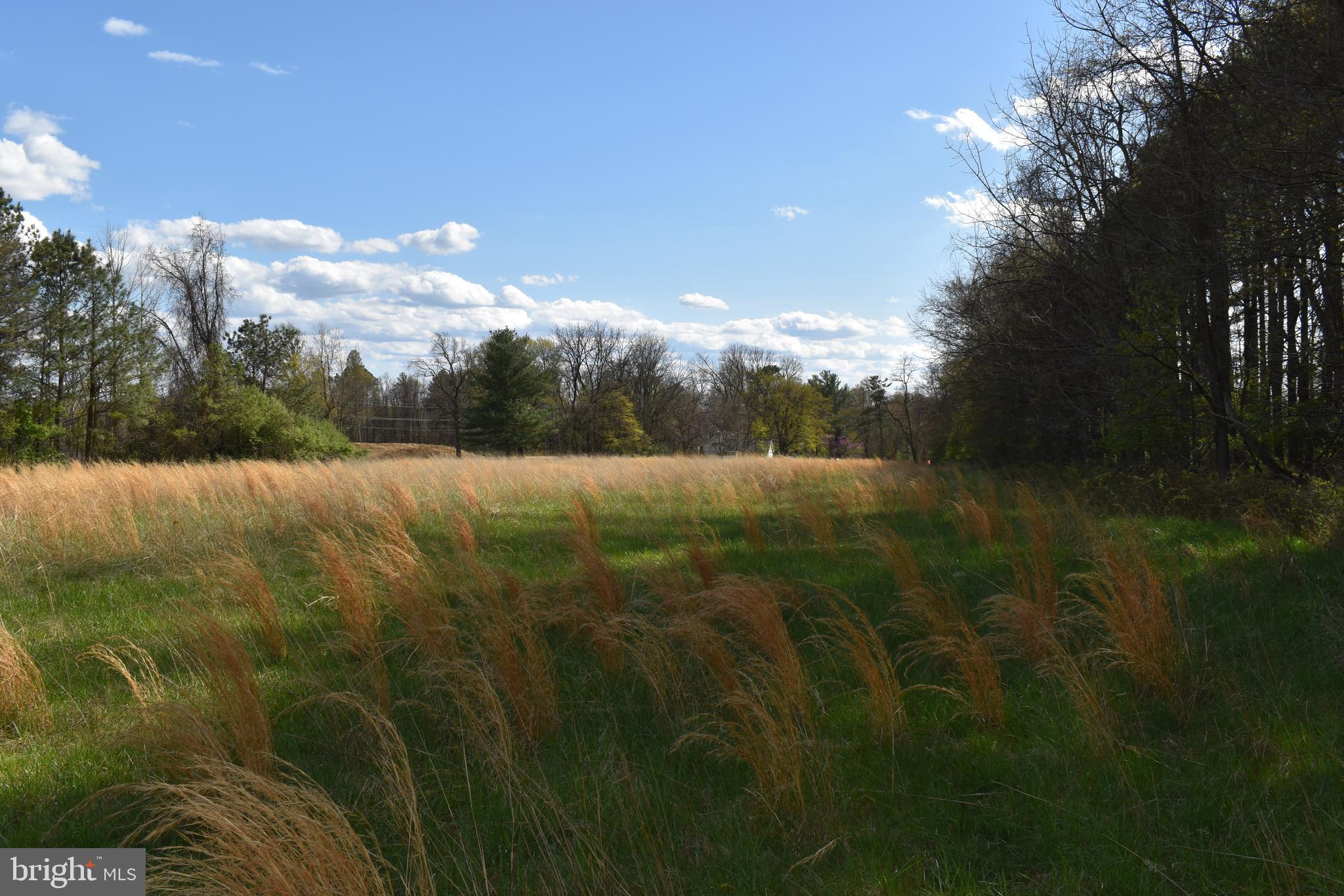 PURCELLVILLE - Residential