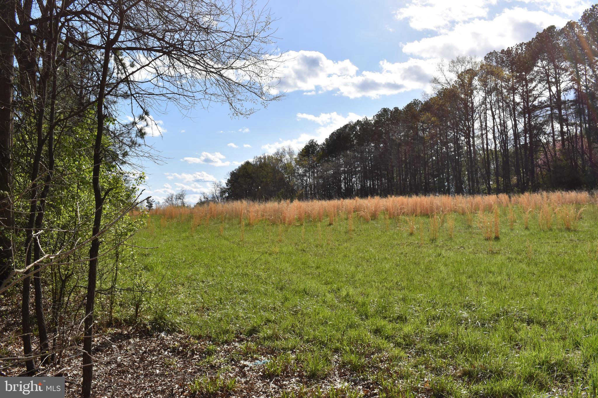 PURCELLVILLE - Residential