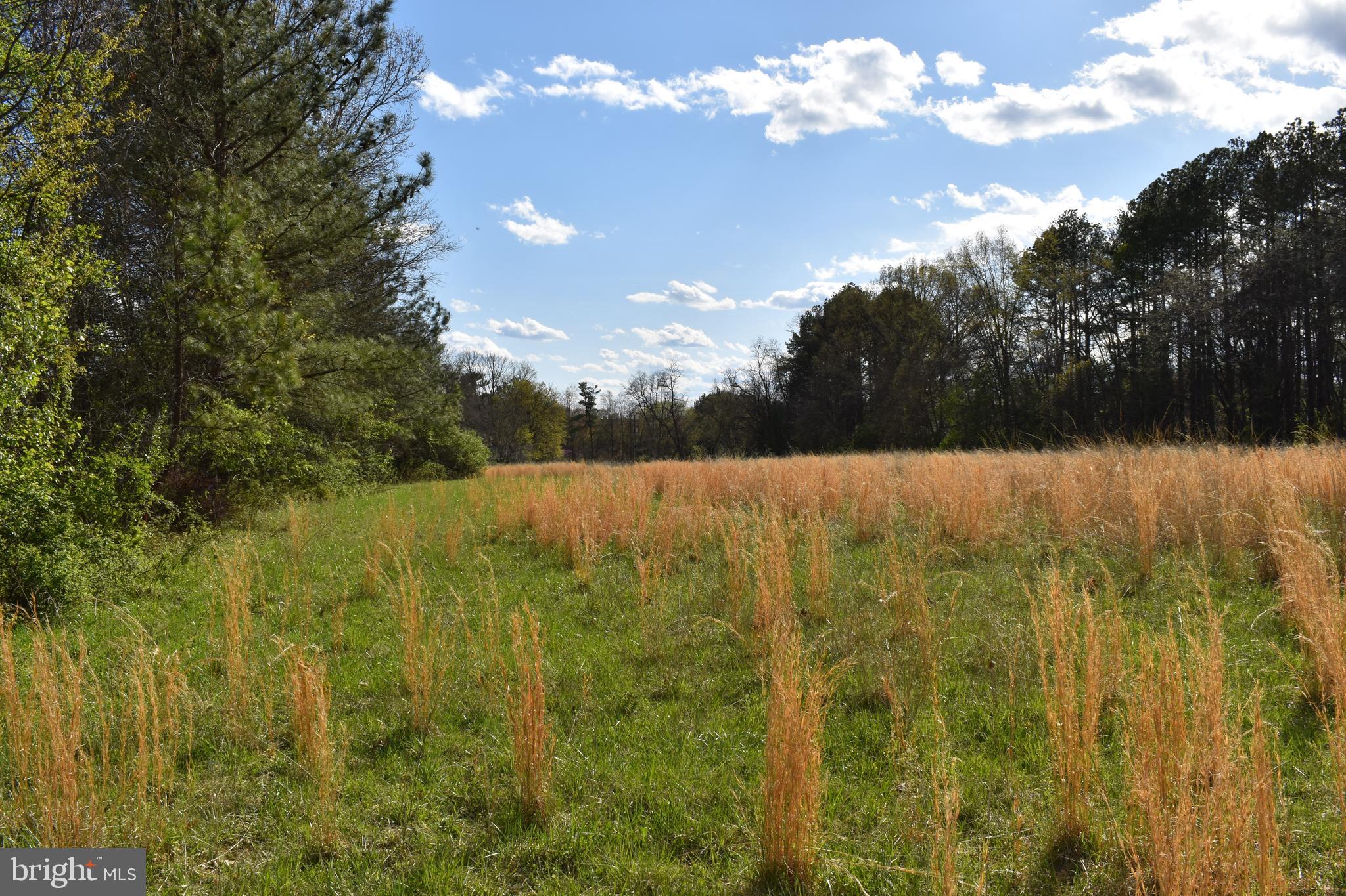 PURCELLVILLE - Residential