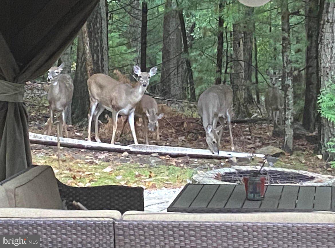 KNOB HILL - Residential