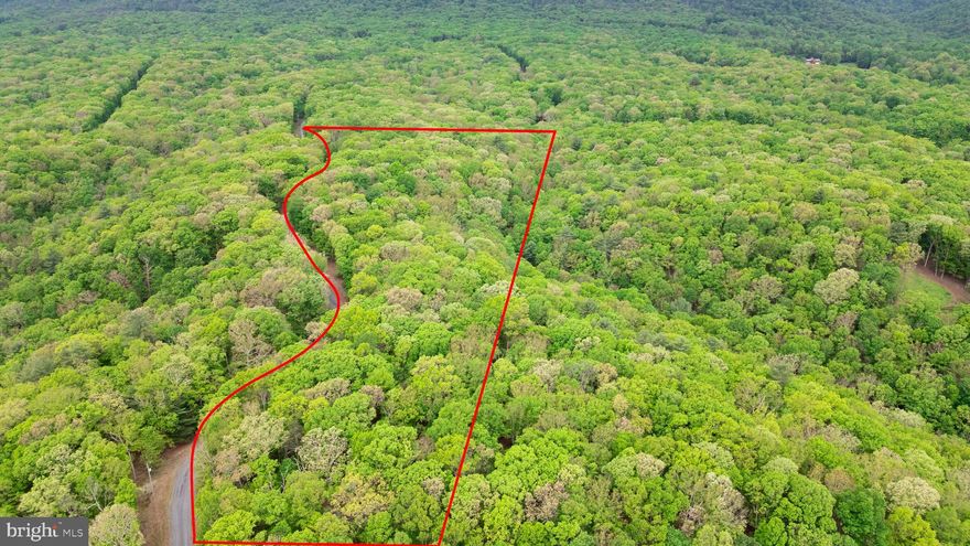 🌲 Your Private Mountain Retreat Awaits at River Ridge 🌲
What if you could own a slice of the Potomac Highlands—where serene mountain views, lush forests, and riverbend vistas become your everyday backdrop?
Welcome to Lot 65 on Moss Lane, nestled within the gated River Ridge community—a hidden gem just outside Berkeley Springs. This 7.17-acre homesite offers a blend of privacy, mature hardwoods, and gently rolling topography ideal for a cabin, getaway, or future home build. Imagine waking to birdsong, then hiking the community’s private access trails or enjoying river views captured beautifully in the aerial photography.
💡 Why this property?
Located in a secure, gated community with maintained roads
Near public river access and community trails
Surrounded by beautiful custom cabins and homes
Low annual taxes—just $442/year
Minimal restrictions make your vision easier to bring to life
Convenient to Winchester, Hagerstown, and Berkeley Springs
Electric at the road—just bring your builder or your RV!
⚠️ Here’s what most buyers overlook: This isn’t just raw land—it’s an opportunity to disconnect, recharge, and own a piece of West Virginia’s most scenic landscape. If you’ve been waiting for the right parcel to come along, this might be it.
📞 Let’s take a walk through the woods together. Text or call today and let’s talk about what’s possible on Moss Lane.