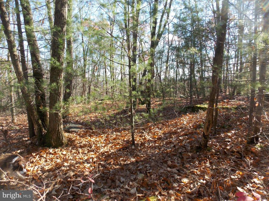 Welcome to Scarlet Oaks 3.54 acre wooded lot at the end of Scarlet Road almost to the cul de sac.  Mature trees give this property the perfect nature surroundings. Front 1.239 acres would be the perfect location for your dream home.  Rear of property has a Conservation Easement with beautiful views of the valley.  Close by are the Appalachian Trail and two state parks.  There is not a current perc test for this property.