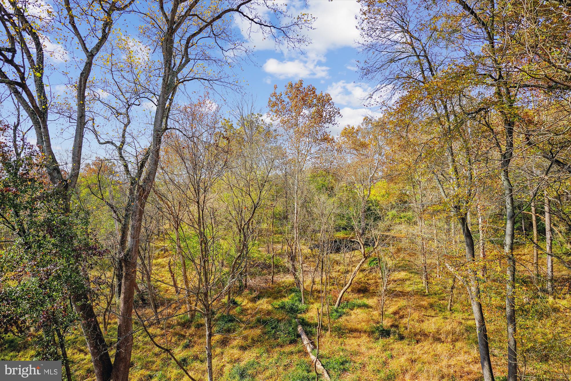 WOODLANDS - Residential