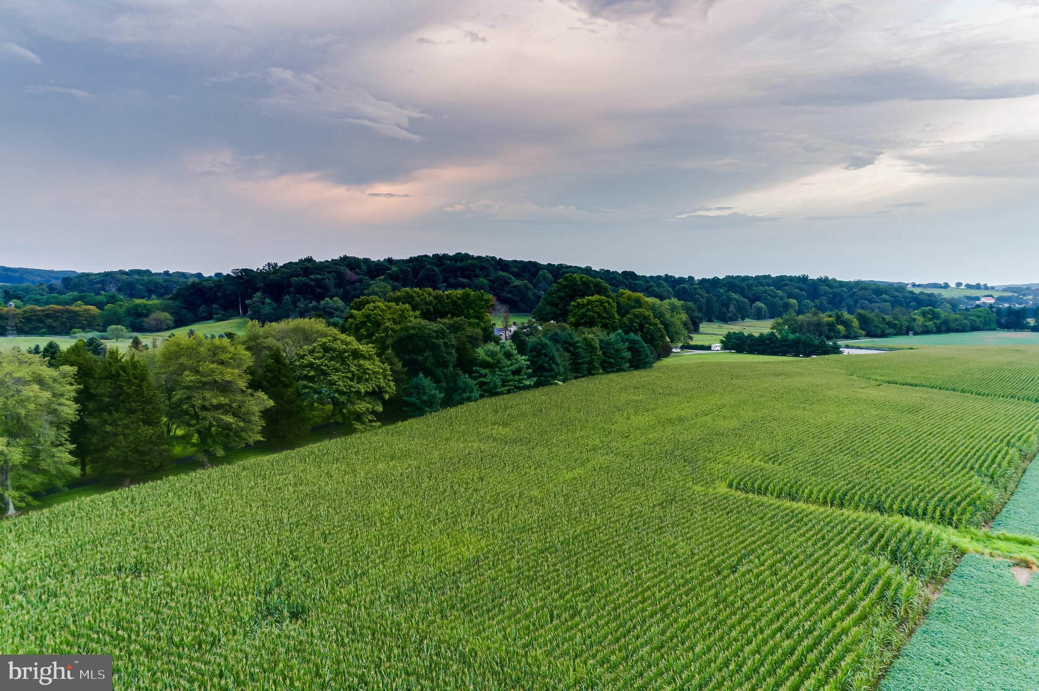 WORTHINGTON VALLEY - Residential