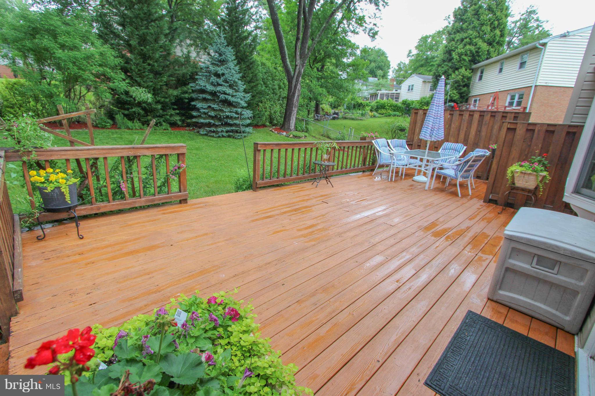 SPRINGBROOK FOREST - Residential