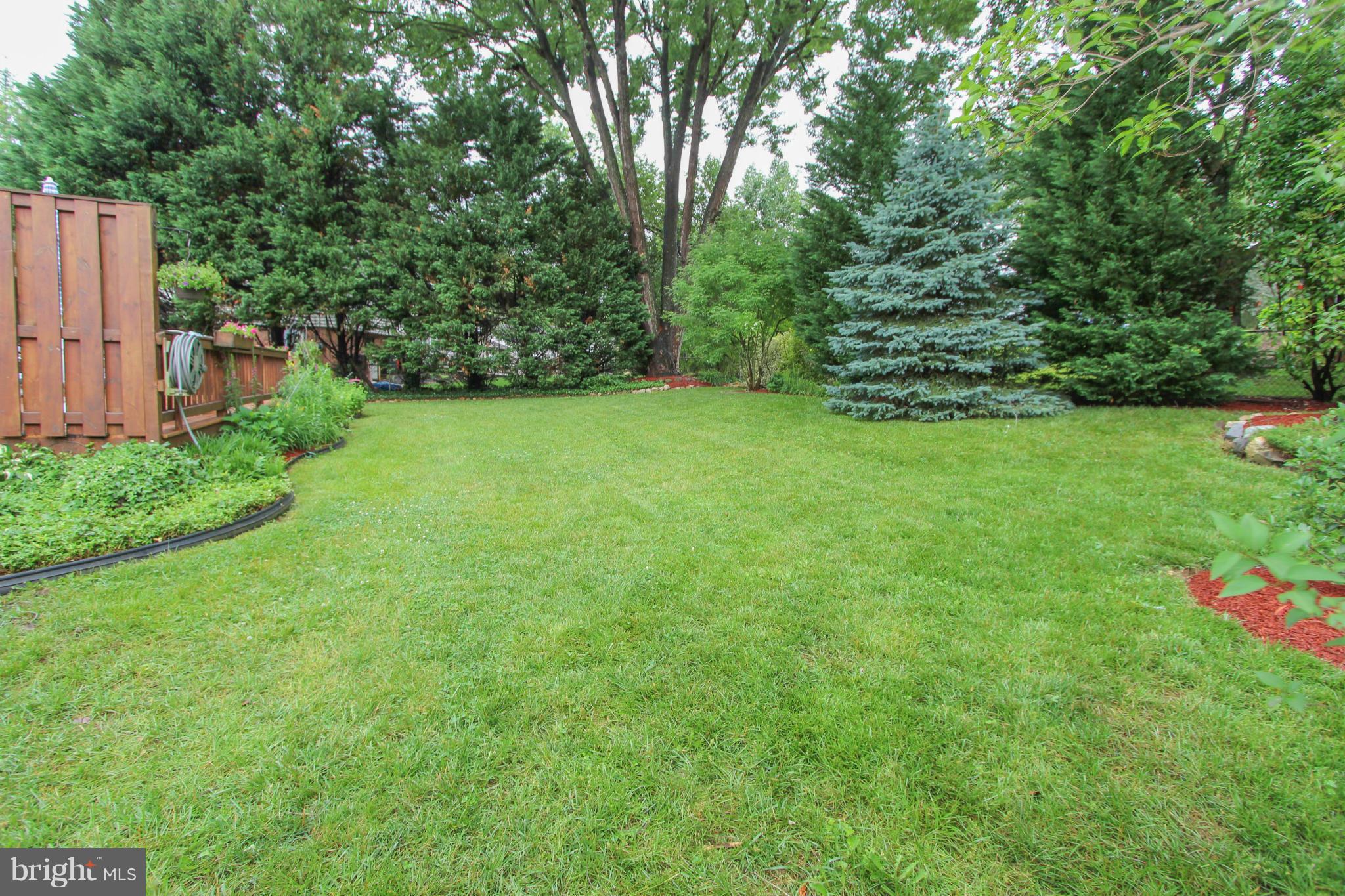 SPRINGBROOK FOREST - Residential