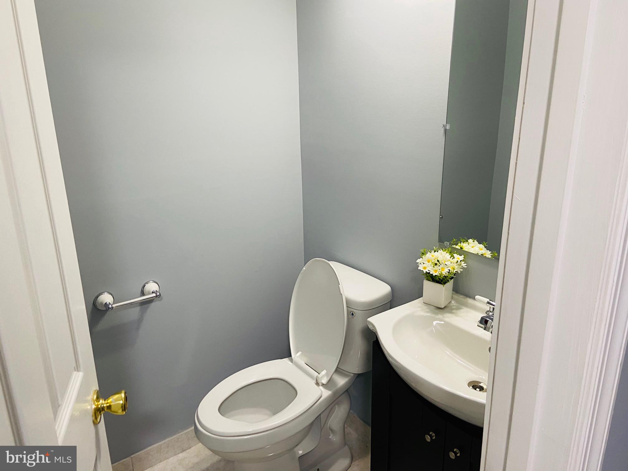 CARRIAGE PINES/LAKE VILL - Residential