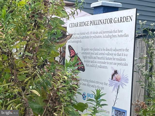 CEDAR RIDGE - Residential