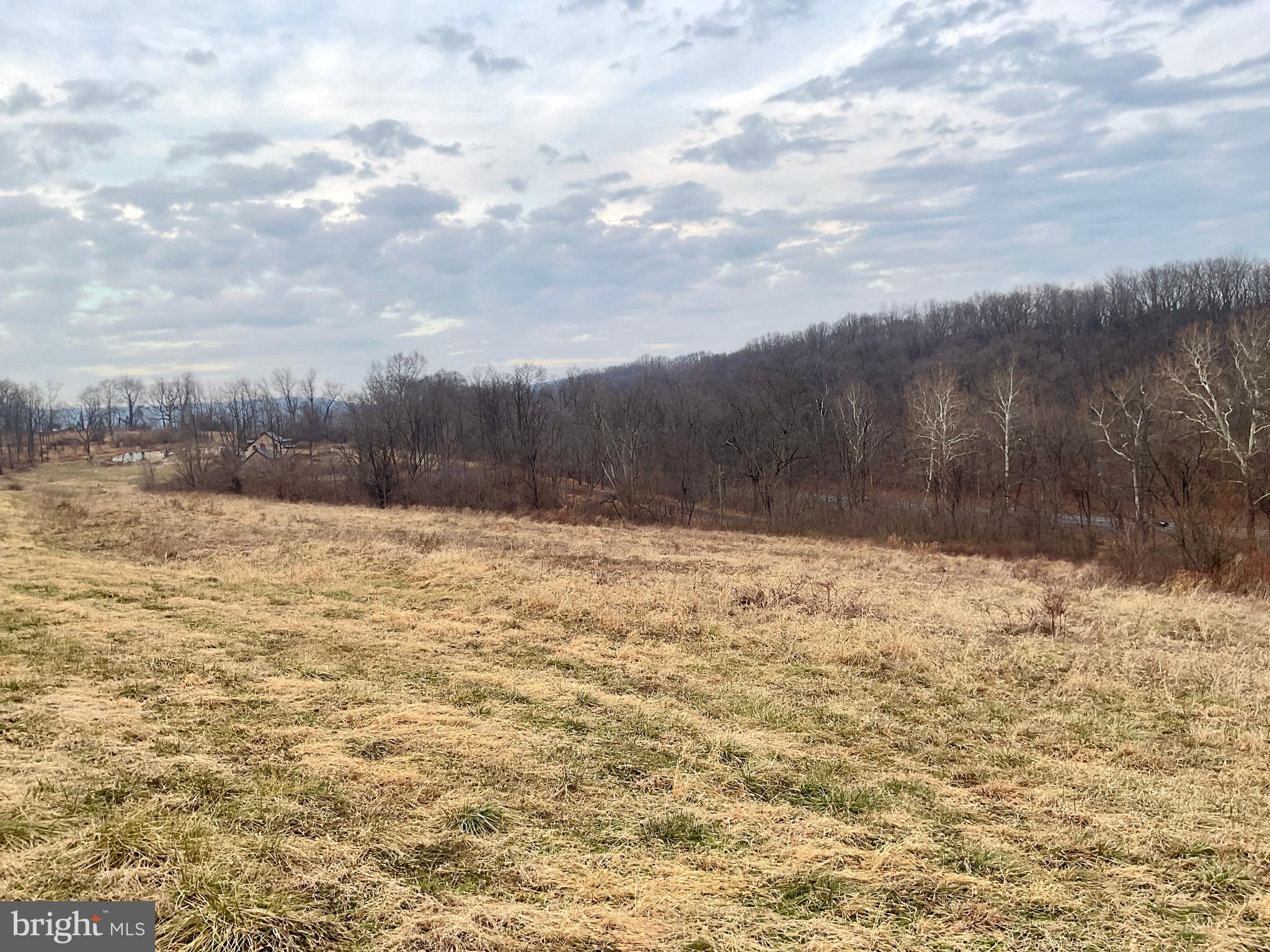 NONE AVAILABLE - Farm