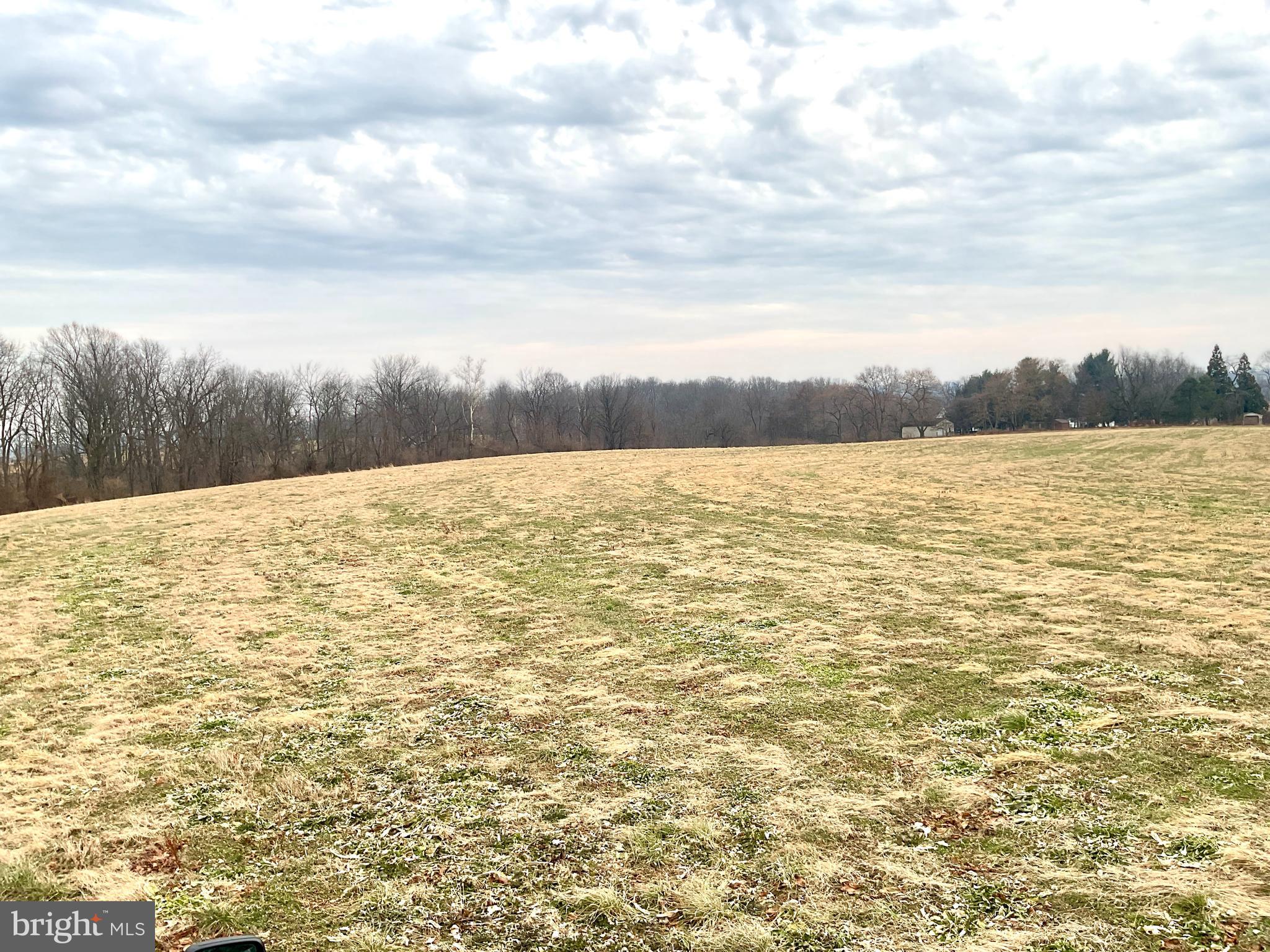 NONE AVAILABLE - Farm