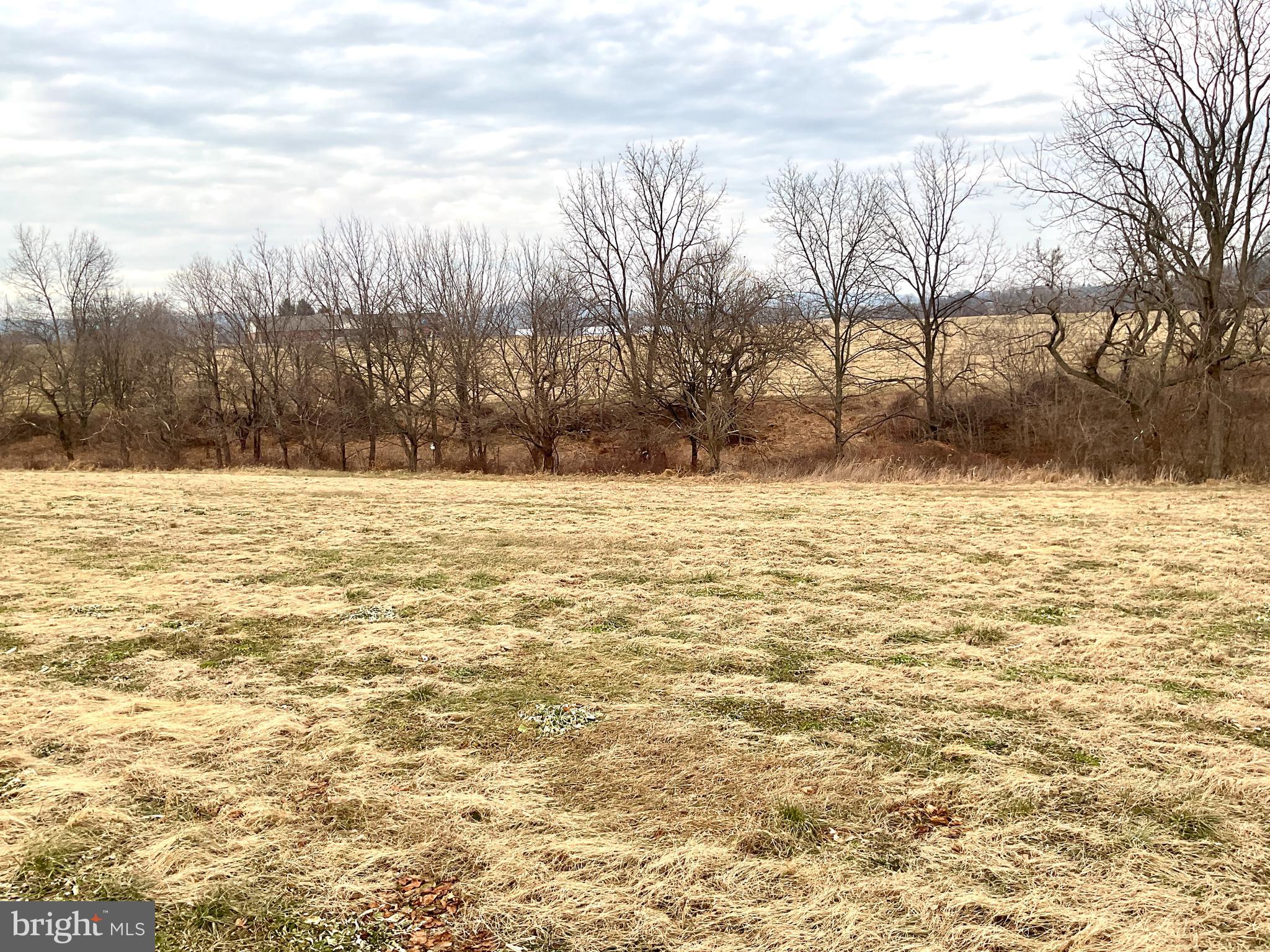 NONE AVAILABLE - Farm