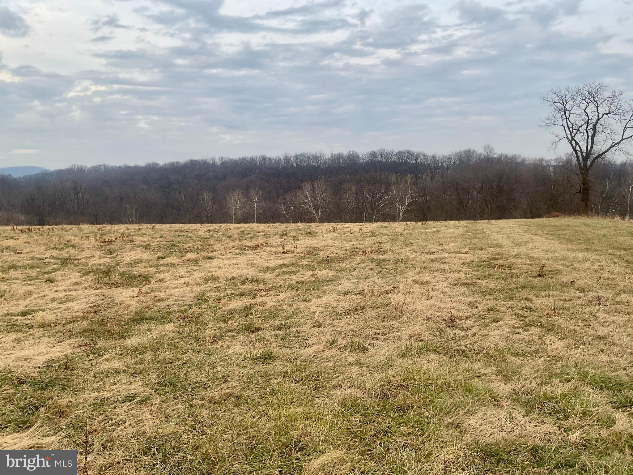 NONE AVAILABLE - Farm