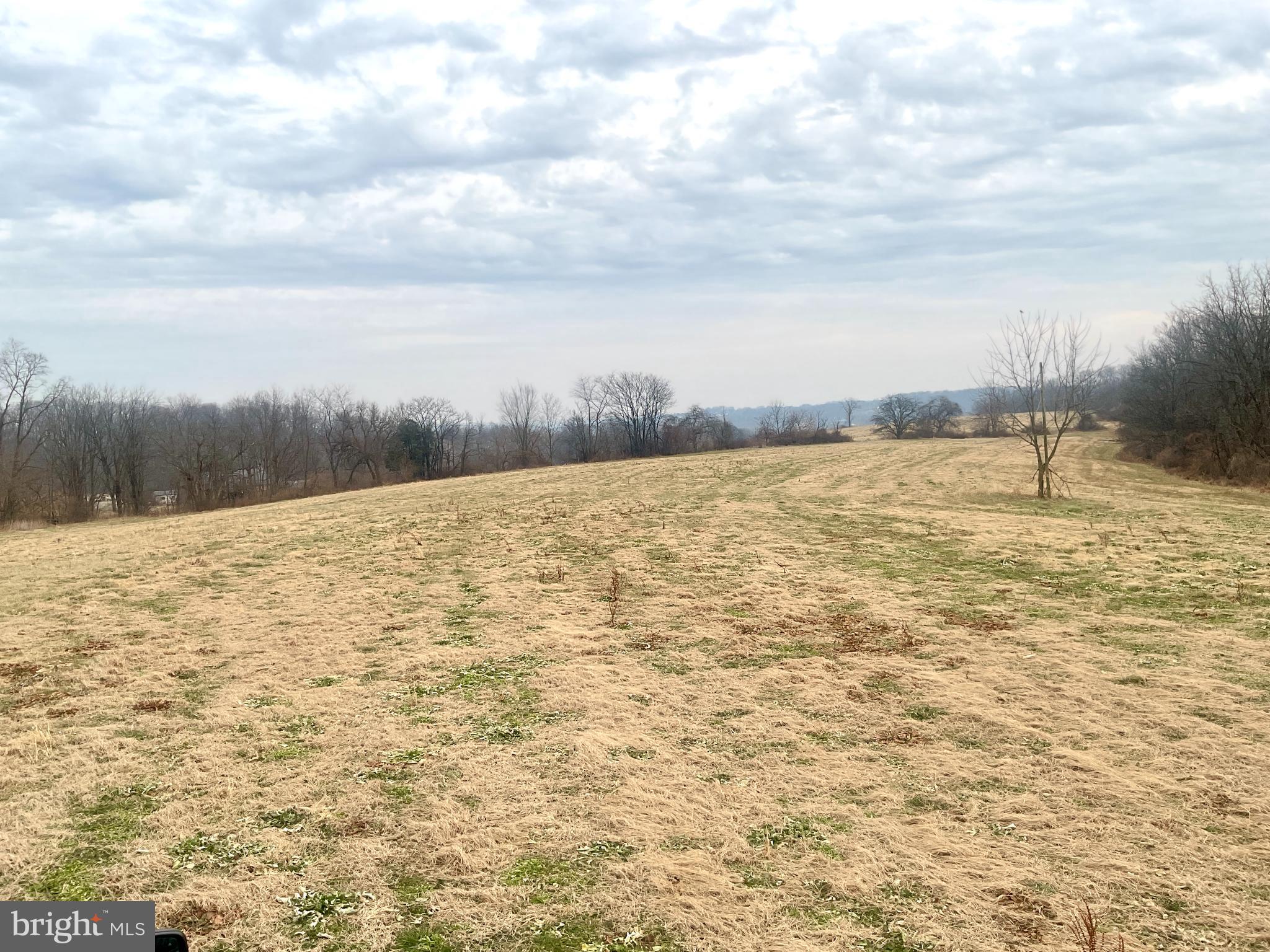 NONE AVAILABLE - Farm