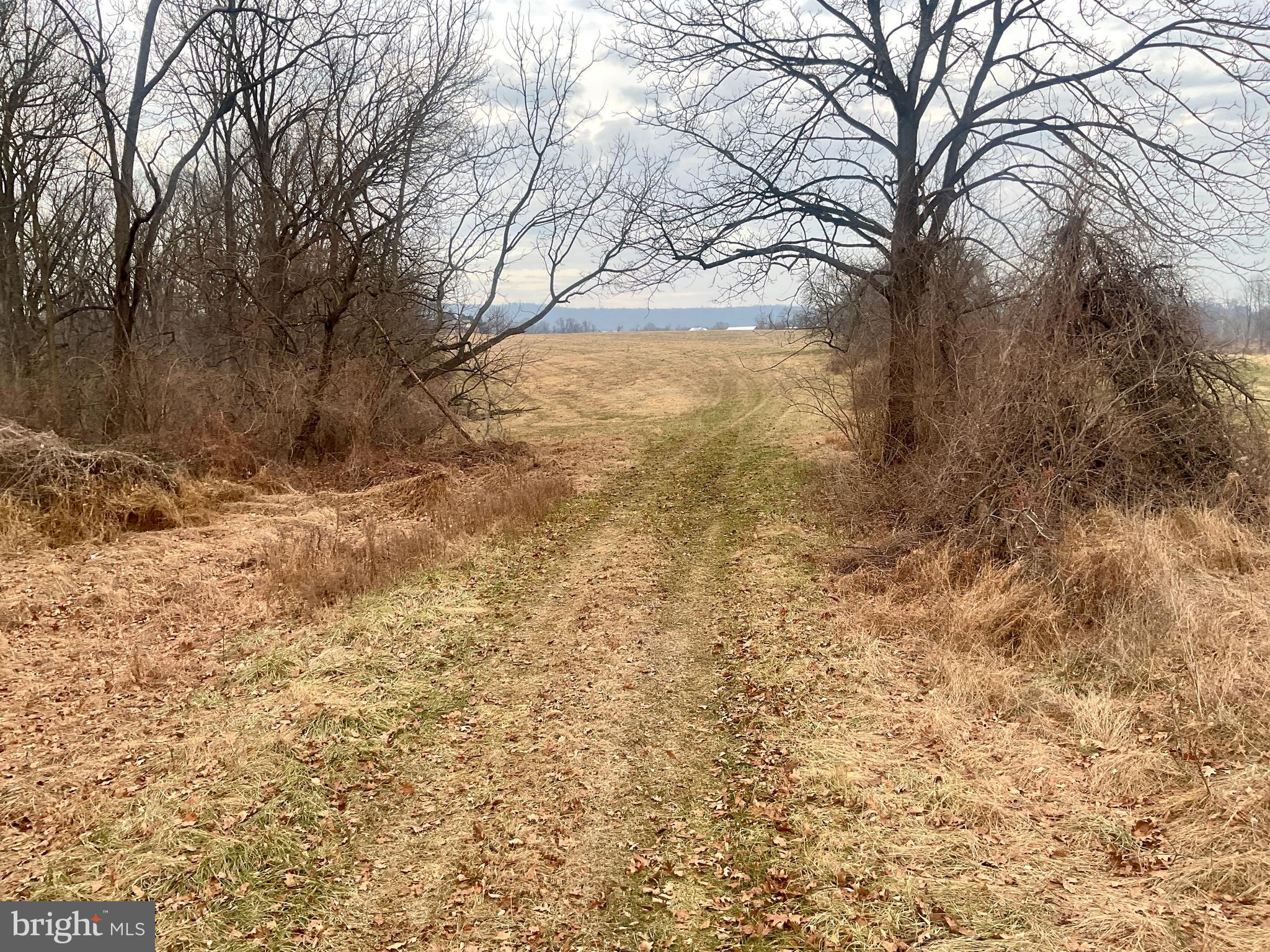 NONE AVAILABLE - Farm