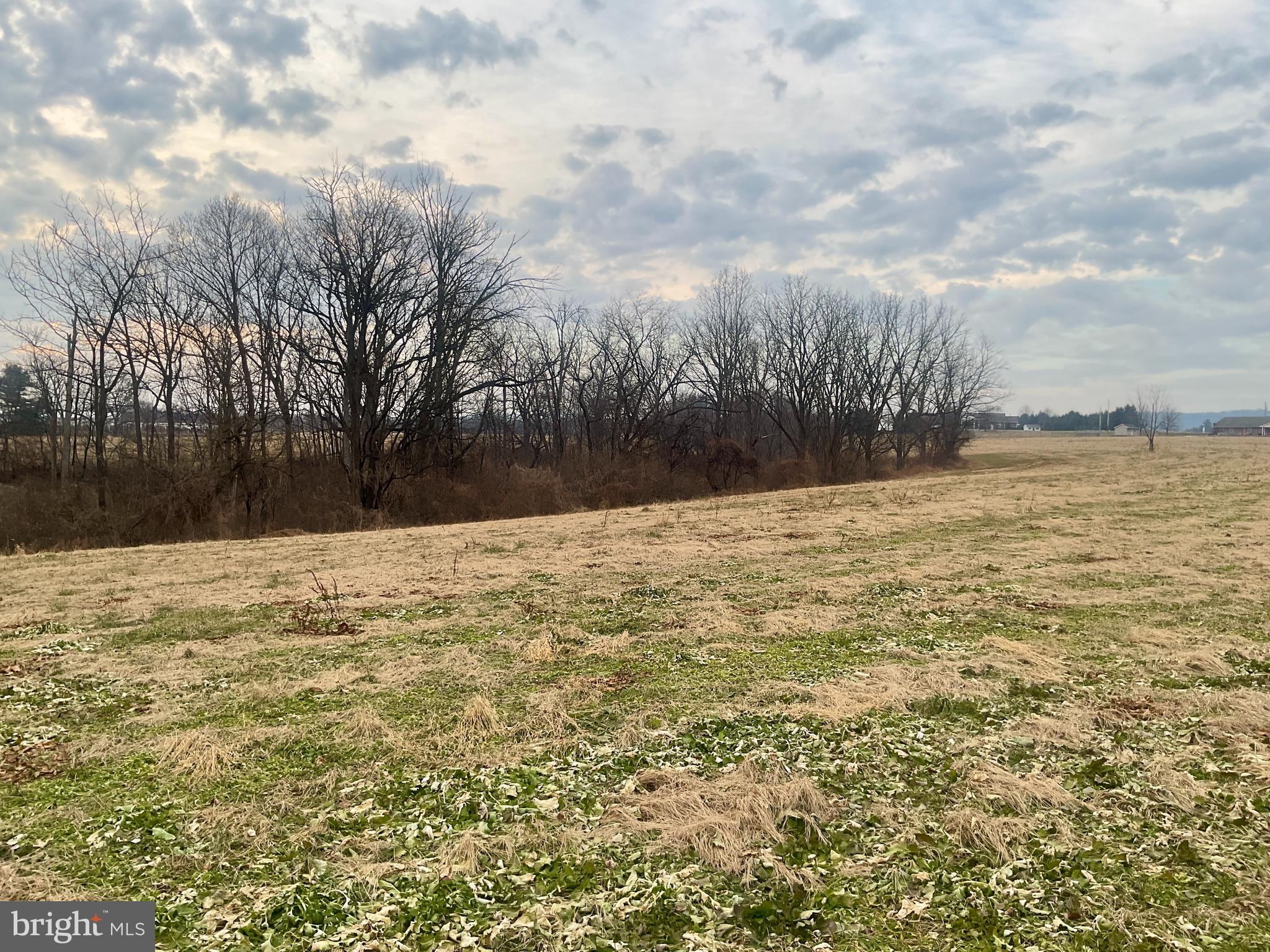 NONE AVAILABLE - Farm