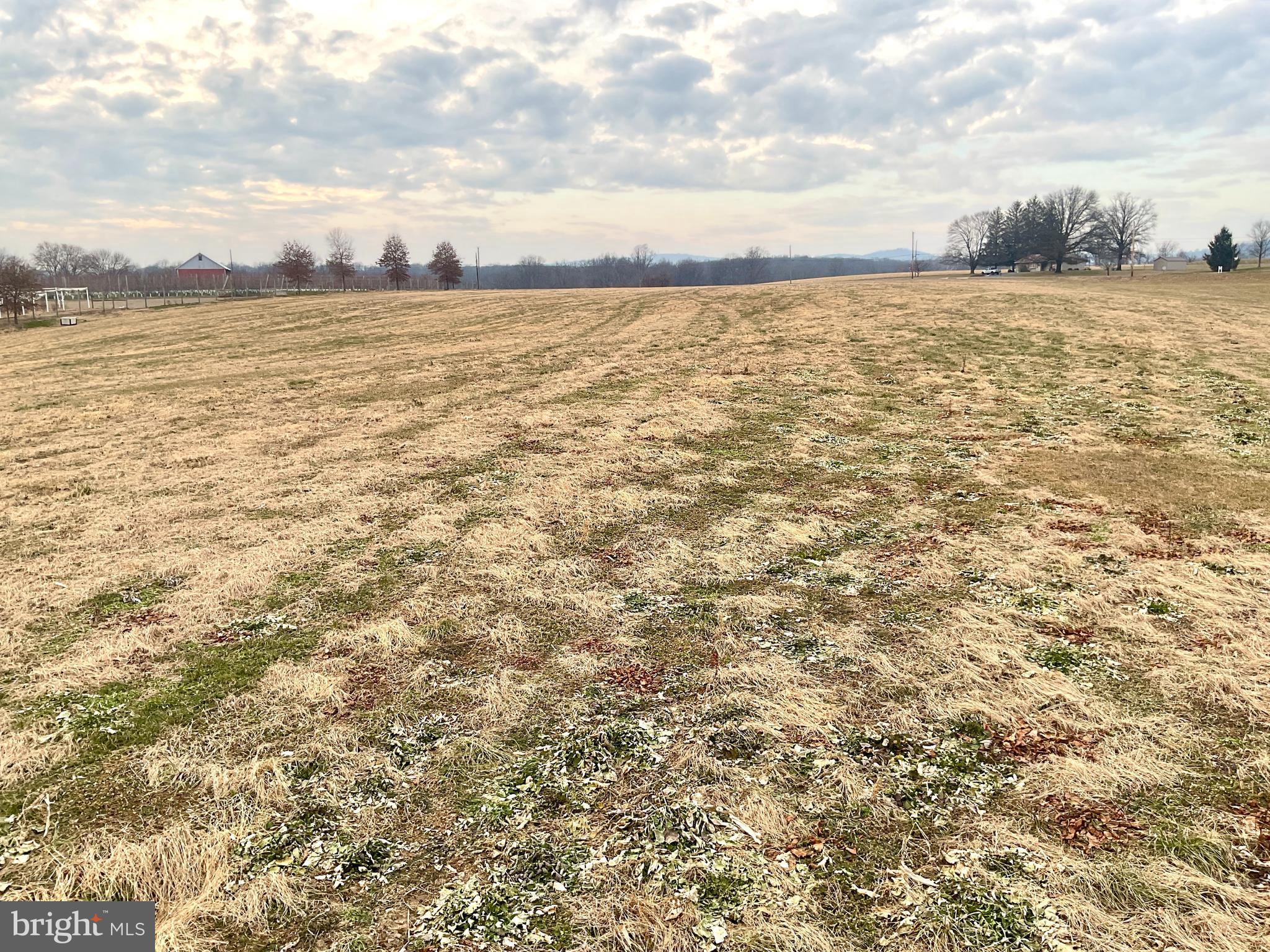 NONE AVAILABLE - Farm