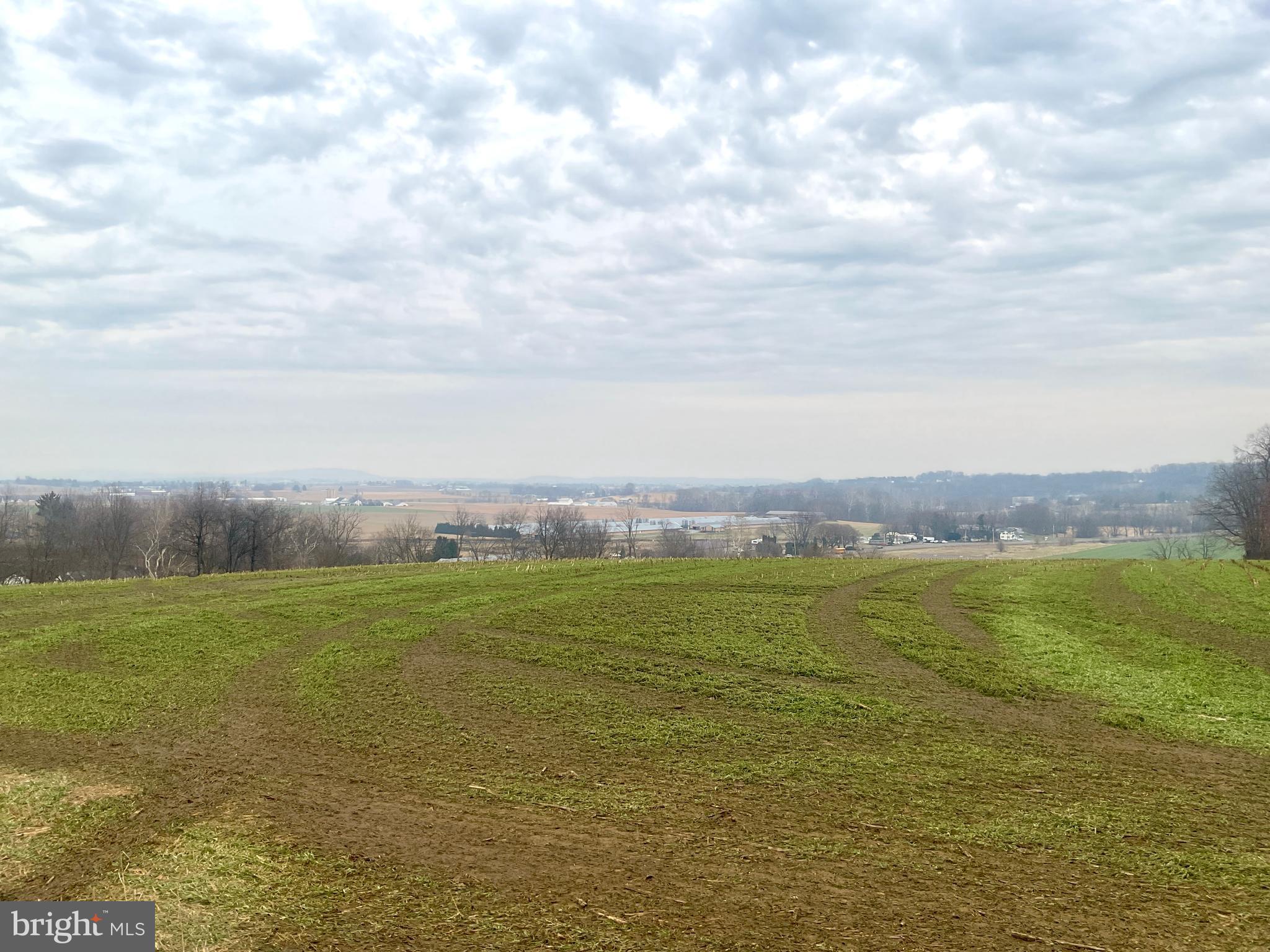 NONE AVAILABLE - Farm