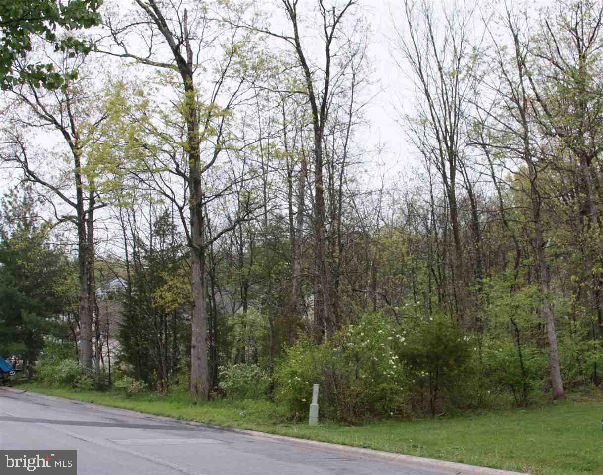 Twin Lakes Drive in Gettysburg! Vacant lot with mature trees. Great location for your new home; easy commute.