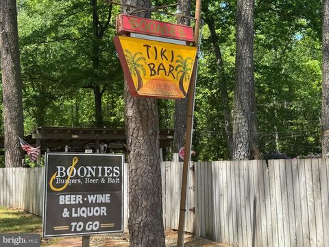 Photo of 21438 Nanticoke Road, TYASKIN, MD 21865 (MLS # MDWC2021658)