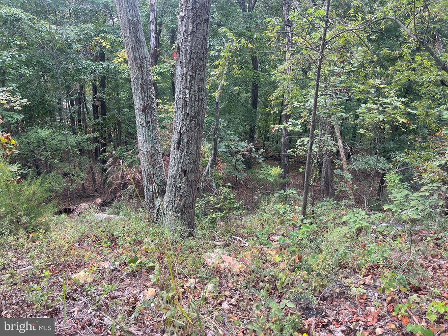 Nestled in the peaceful town of Stanley, Virginia, this newly listed vacant lot 41  Panorama View Drive offers an exceptional opportunity to build your ideal retreat. Located in a residential zoning area, the wooded parcel provides privacy, natural beauty, and a sense of seclusion, while still being conveniently accessible to nearby attractions and amenities.

The lot spans a generous size, giving you flexibility and space to design a custom home, outdoor living area, or weekend getaway beneath the mature trees. Whether you're envisioning a cozy cabin or a modern build, this property’s natural surroundings and tranquil setting offer a perfect canvas.

Located just about 2 miles from Riverside Camping, outdoor enthusiasts will enjoy easy access to hiking, fishing, and nature exploration. For families and those considering future educational needs, Page County High School is within 3.2 miles. Additionally, daily conveniences are nearby, with Tienda Maya grocery store a short 5.3-mile drive away in New Market.

Set in a quiet neighborhood with picturesque mountain views, this property combines the serenity of rural living with nearby community features and essential services. Whether you’re looking to invest in land, build a permanent residence, or create a vacation escape, this lot offers excellent potential.

Priced competitively for the area, this is a unique chance to own land in one of Virginia’s scenic locales. Schedule a visit today and imagine the possibilities waiting for you at 41 Panorama View Drive.