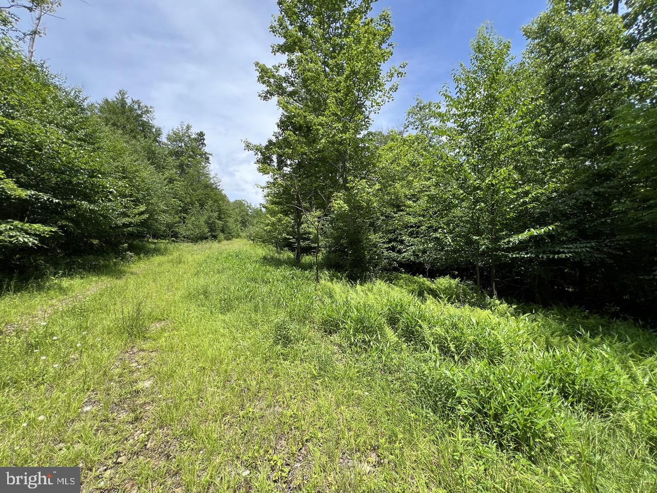 9.59 ACRES IN TUSCAN RIDGE, DAVIS, WV - PRIME INVESTMENT OPPORTUNITY
DISCOVER A RARE CHANCE TO OWN 9.59 ACRES ACROSS EIGHT SCENIC WOODED LOTS IN THE HEART OF TUSCAN RIDGE, A SERENE SUBDIVISION NESTLED IN THE CHARMING TOWN OF DAVIS, WV. RANGING FROM JUST OVER HALF AN ACRE TO OVER 2 ACRES EACH, THESE PARCELS OFFER A TOTAL OF 9.59 ACRES OF UNTOUCHED NATURAL BEAUTY, PERFECT FOR THOSE SEEKING AN OFF-GRID RETREAT OR A STRATEGIC LONG-TERM INVESTMENT. GREAT LOCATION AS A GATEWAY TO ADVENTURE NEAR CANAAN VALLEY, BLACKWATER FALLS, AND OTHER RENOWNED TOURIST DESTINATIONS. FULLY WOODED WITH A MIX OF MATURE TREES, OFFERING PRIVACY AND A TRANQUIL SETTING. A COUPLE OF THE LOTS ARE ENHANCED BY THE GENTLE FLOW OF DEVILS RUN, A CREEK THAT ADDS CHARM AND CHARACTER TO THE SETTING.
EASY ACCESS TO THE BEGINNING OF THE LOTS THROUGH THE SUBDIVISION ROAD, ALTHOUGH A LITTLE ROUGH, THEY ARE EASILY PASSABLE TO THE END OF DOHENICO DR WHERE THESE LOTS START.
THESE LOTS ARE CURRENTLY WITHOUT PUBLIC UTILITIES MAKING THEM IDEAL FOR BUYERS INTERESTED IN AN OFF-GRID LIFESTYLE. POSSIBLY INSTALL WELL AND SEPTIC TO CREATE YOUR PRIVATE MOUNTAIN HAVEN, OR SEIZE THE POTENTIAL FOR SIGNIFICANT RETURNS BY HOLDING THE LAND FOR FUTURE DEVELOPMENT. SHOULD THE TOWN EXTEND UTILITIES THROUGHOUT TUSCAN RIDGE, PROPERTY VALUES PROJECTED TO DOUBLE OR MORE FOR THESE LOTS, MAKING AN EXCEPTIONAL BUY-AND-HOLD INVESTMENT.
WHETHER YOU'RE DREAMING OF A SECLUDED CABIN, A RECREATIONAL RETREAT, OR A SAVVY INVESTMENT, THESE LOTS OFFER ENDLESS POSSIBILITIES IN ONE OF WV'S MOST SOUGHT-AFTER REGIONS.