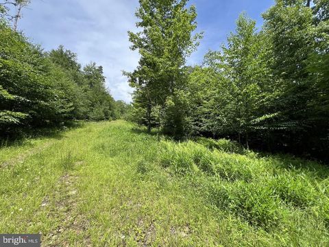 Vacant Land For Sale - Off Tuscan Ridge Rd<br/> DAVIS, WV 26260