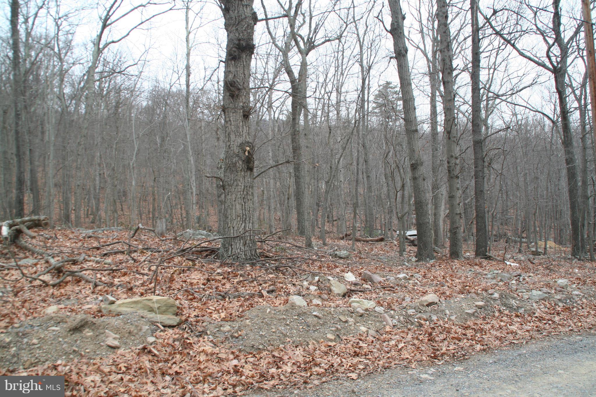 614 OPOSSUM TRAIL