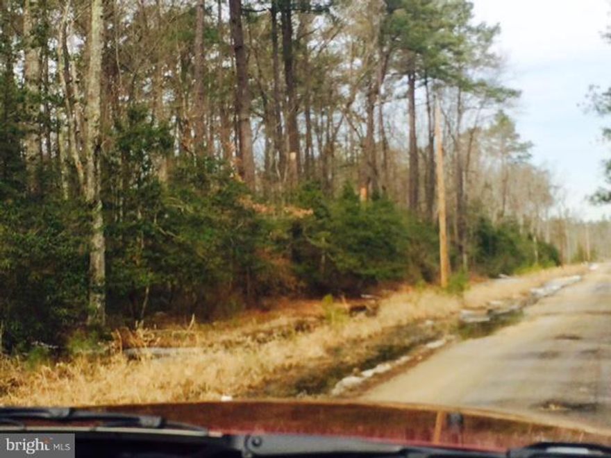 Beautiful wooded lot in waterfront community w/ boat ramp on the river.  Lot has pond, perfect for hunting, several areas that could possibly perc to build on. NO COVENANTS.  Currently has Forest Mgmt Plan that is registered w/ tax office but has not been officially registered w/ the Forestry office so can be easily changed.