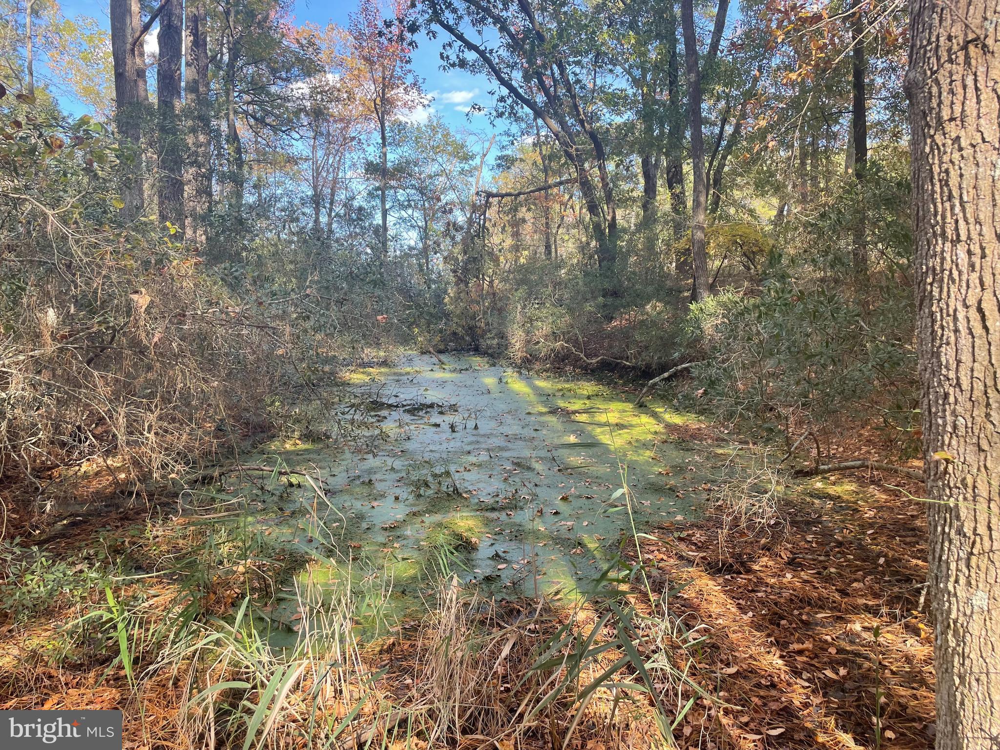 0 WHITEHAVEN FERRY ROAD