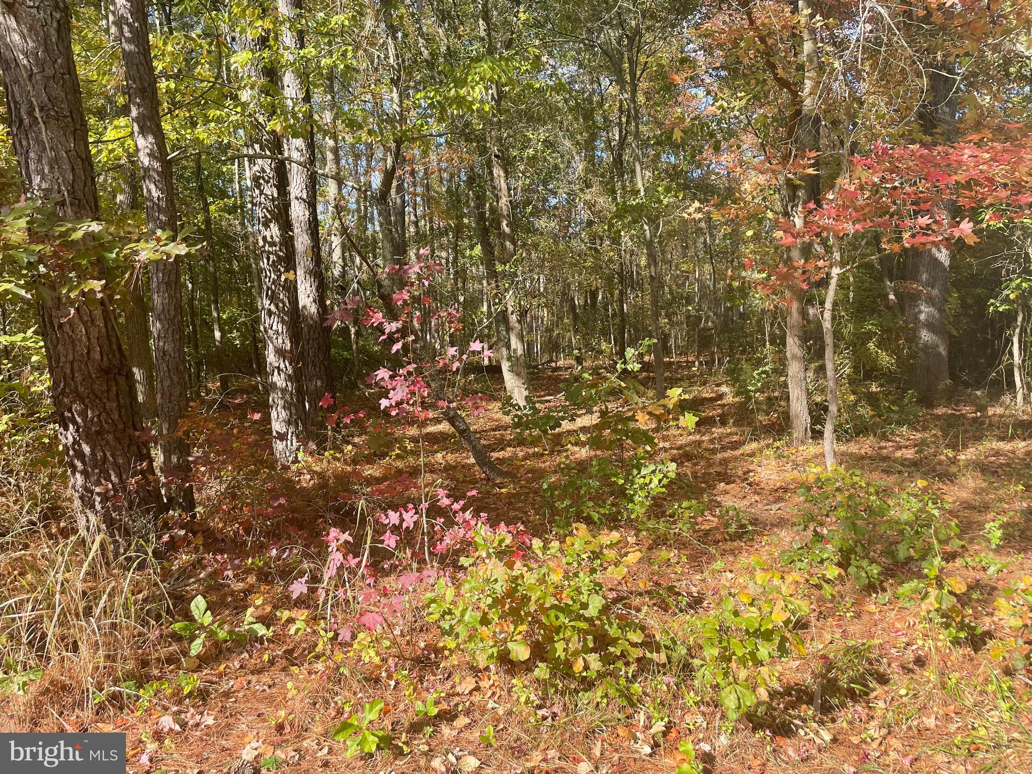 0 WHITEHAVEN FERRY ROAD