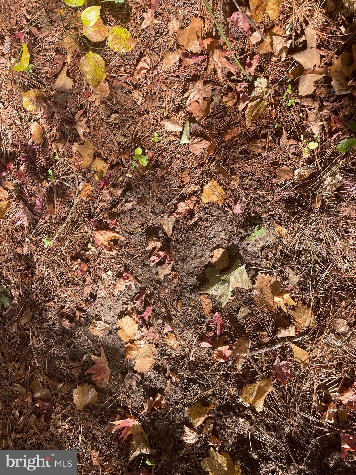 0 WHITEHAVEN FERRY ROAD