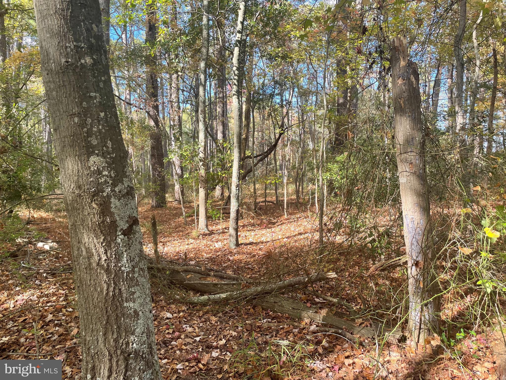 0 WHITEHAVEN FERRY ROAD