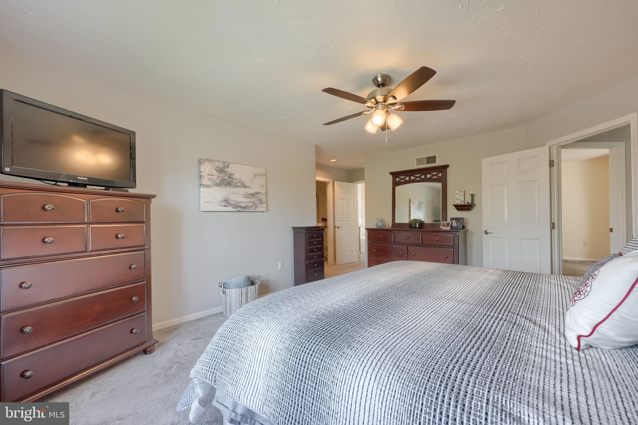 CHESTNUT RUN - Residential