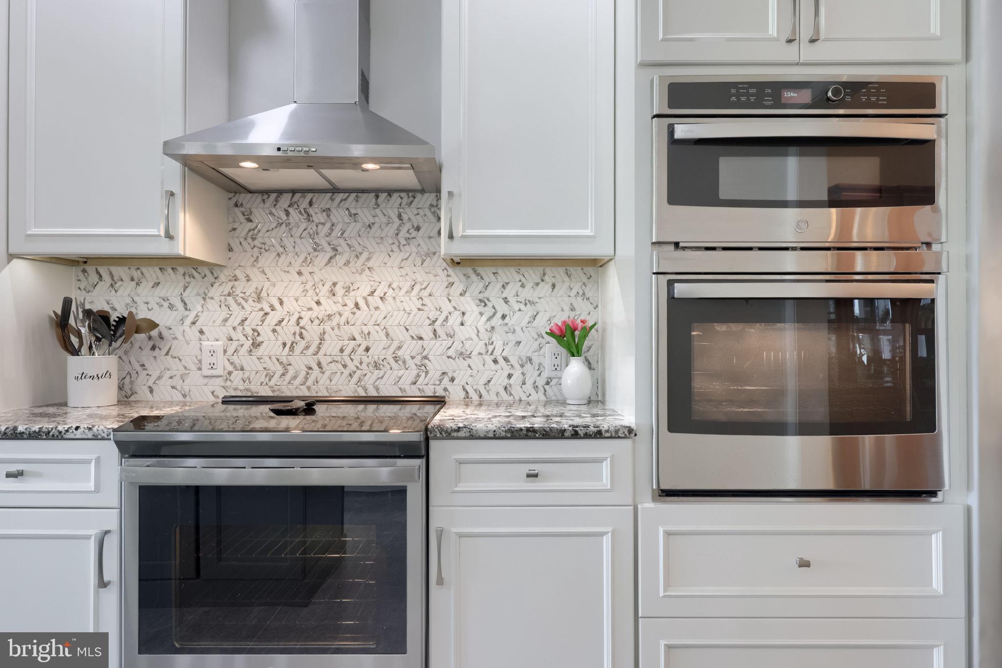 CHESTNUT RUN - Residential