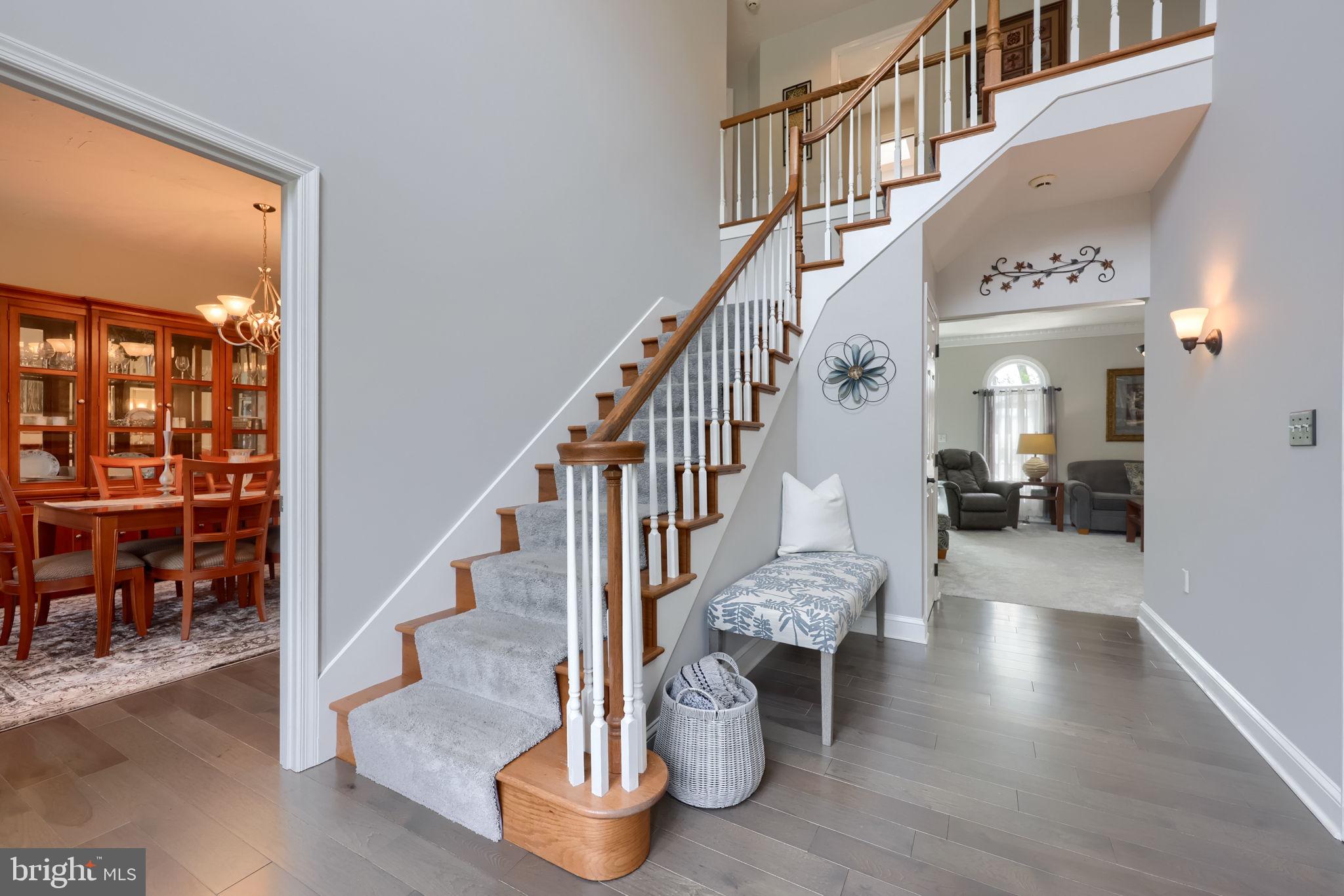 CHESTNUT RUN - Residential