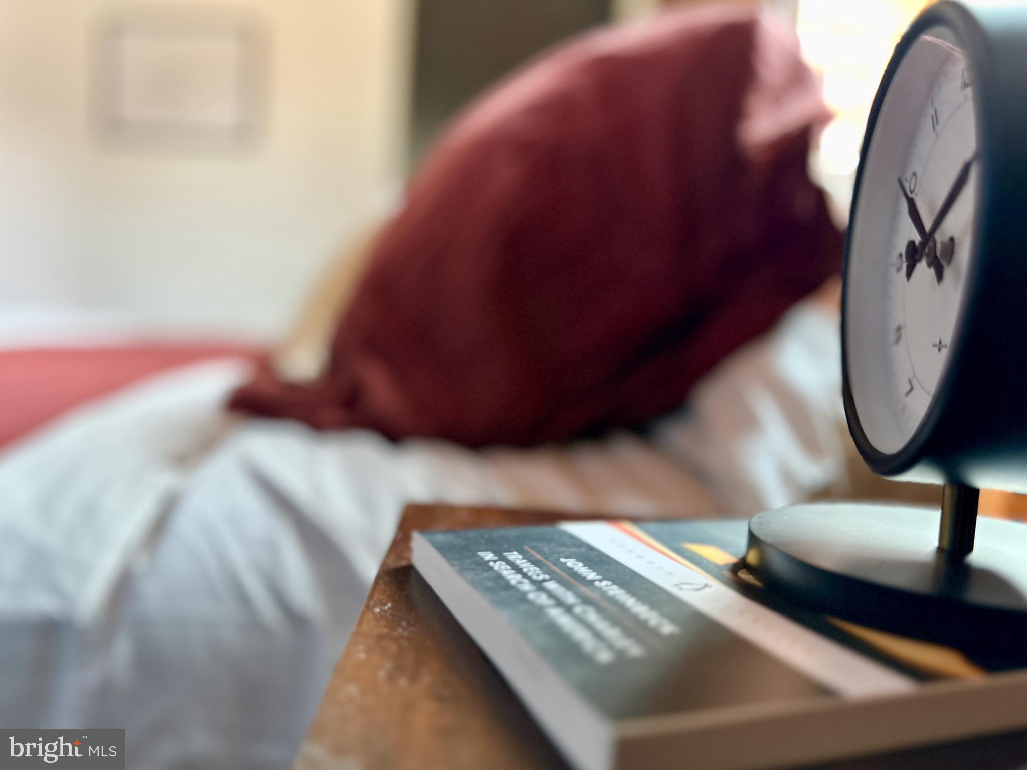 CHESTNUT HILL - Residential Lease