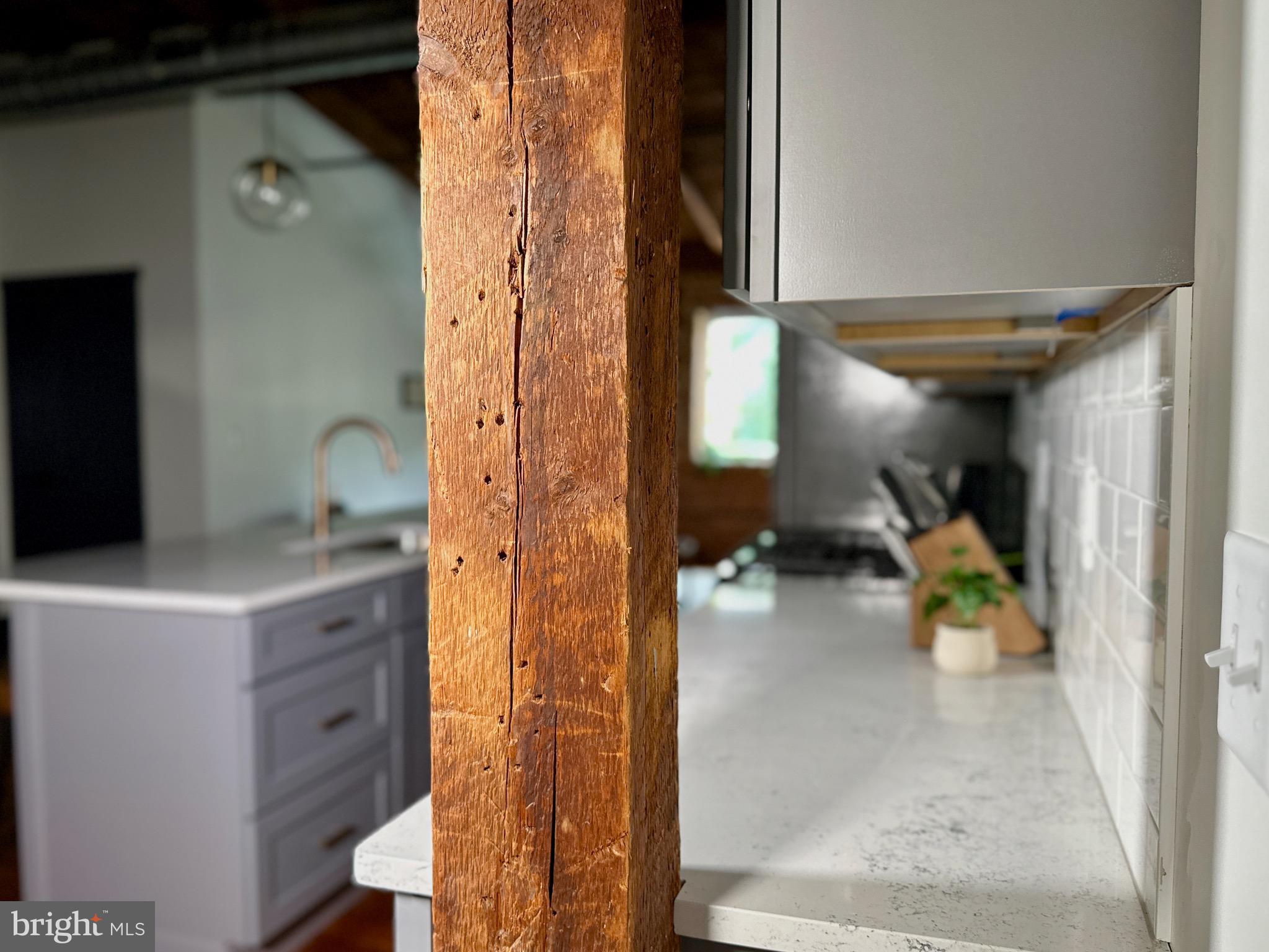 CHESTNUT HILL - Residential Lease