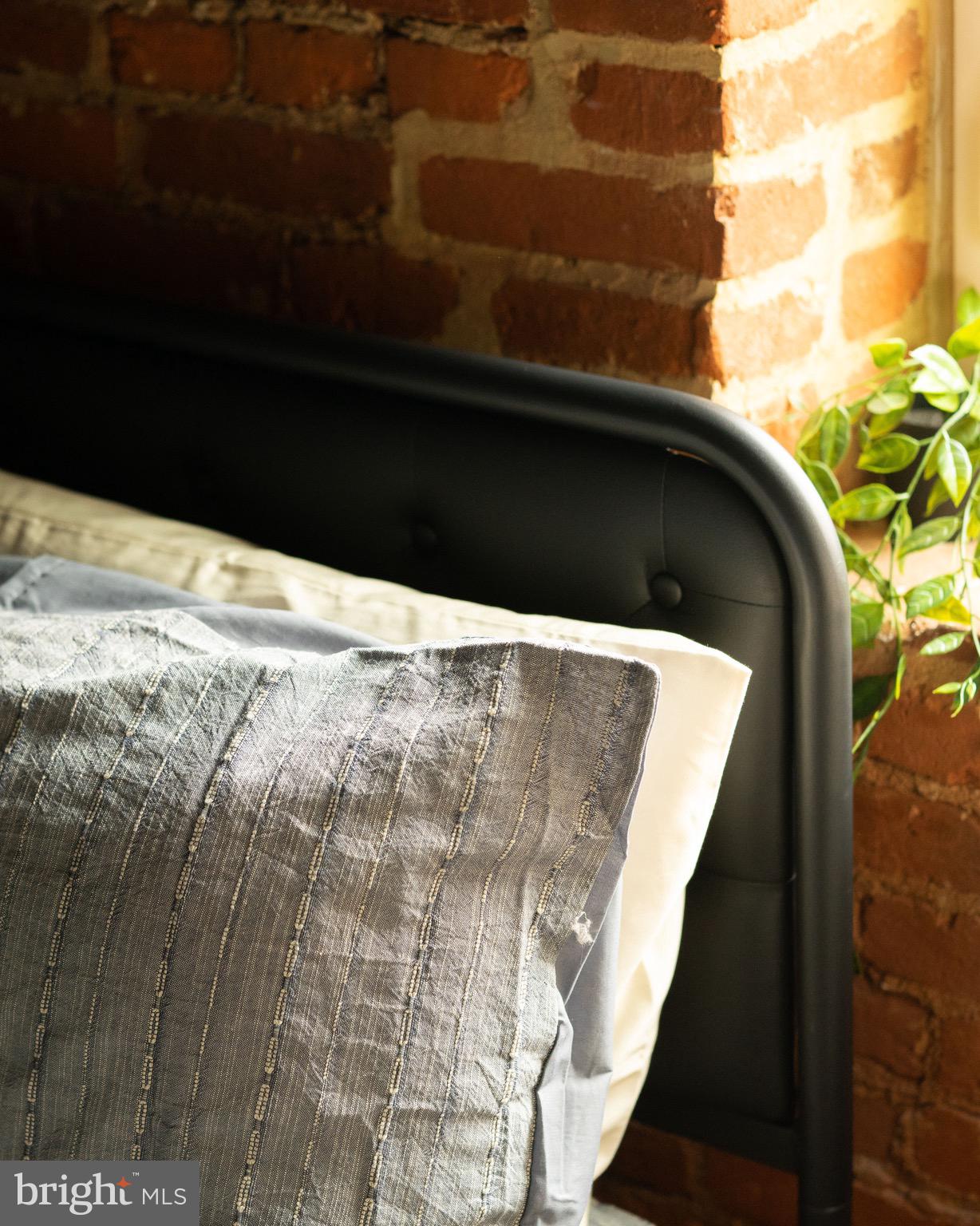 CHESTNUT HILL - Residential Lease