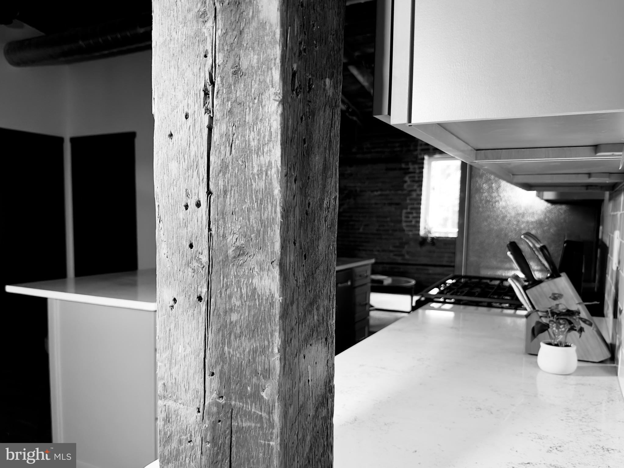 CHESTNUT HILL - Residential Lease