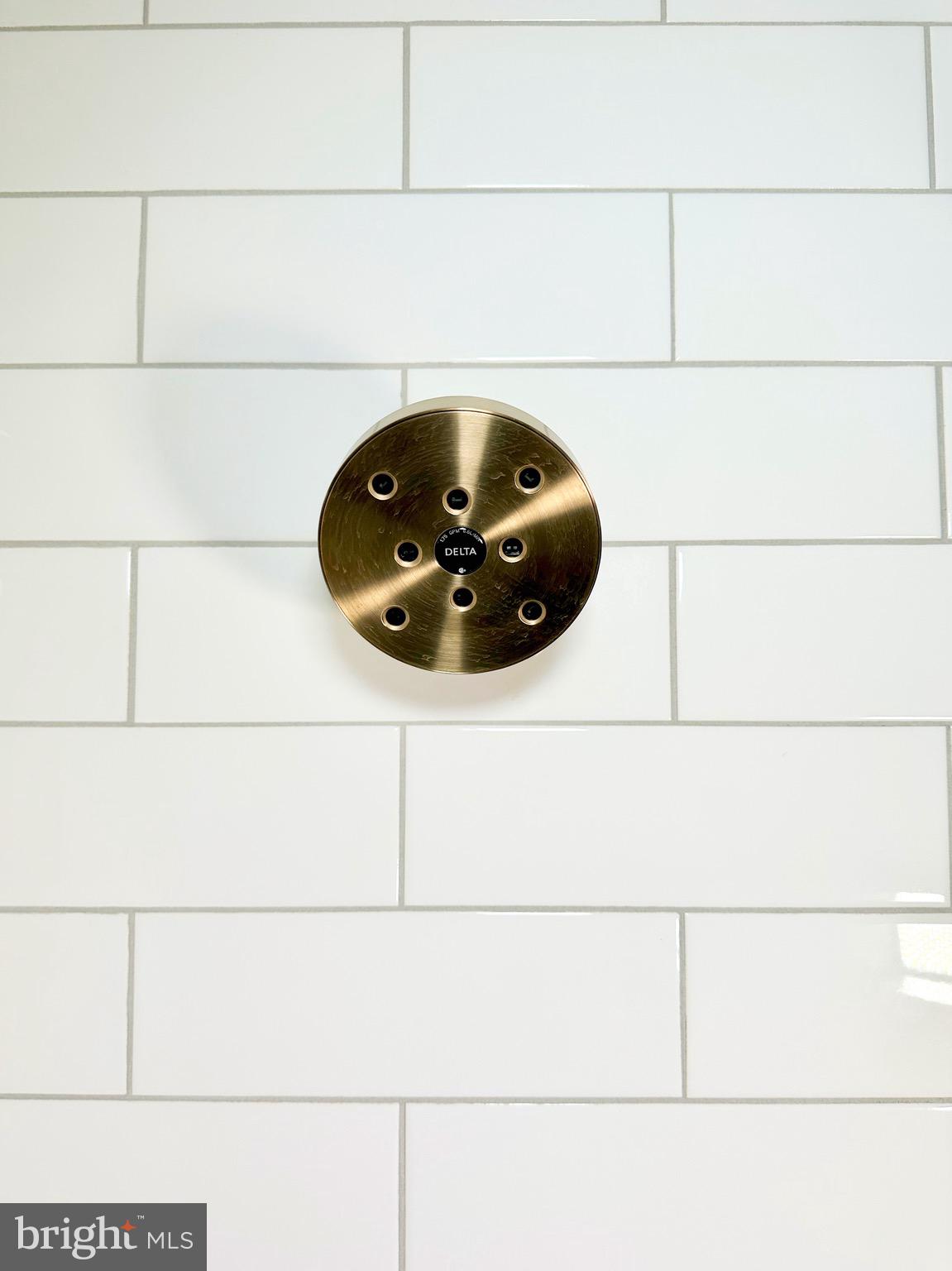 CHESTNUT HILL - Residential Lease